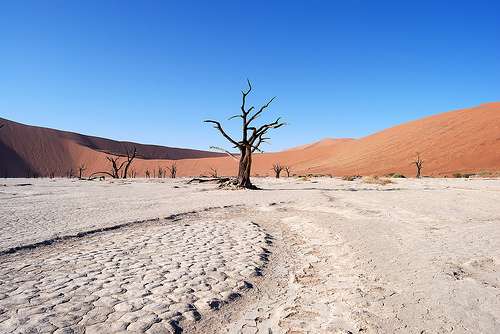 Sossusvlei, Dead Vlei, inside the Namib-Naukluft Park in Namibia: Desert, Namibia, 2007. Photograph courtesy of Håkan Tropp, SIWI